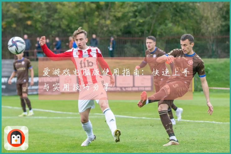 爱游戏电脑版使用指南：快速上手与实用技巧分享