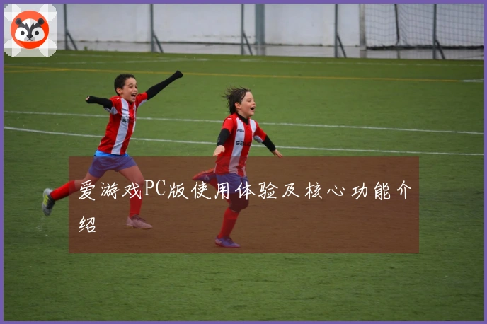 爱游戏PC版使用体验及核心功能介绍
